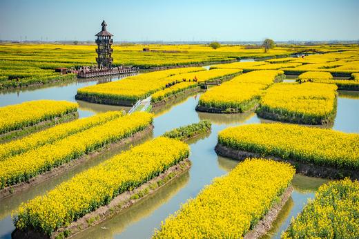 4.12确定出发【江南繁花】春日限定缤纷花海6天摄影（梨花/紫藤/二月兰/绣球花/木香花） 商品图1