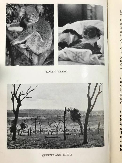 澳大利亚风物志 4幅彩色12幅黑白插图 精装32开 商品图13