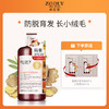 卓蓝雅 | 生姜防脱固发去屑控油头皮洗发水400ml （1号） 商品缩略图0
