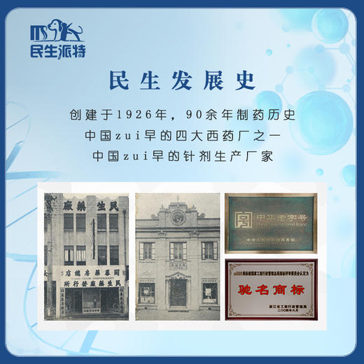 民生 派特维他全价成年期犬粮   2KG  10KG 商品图3