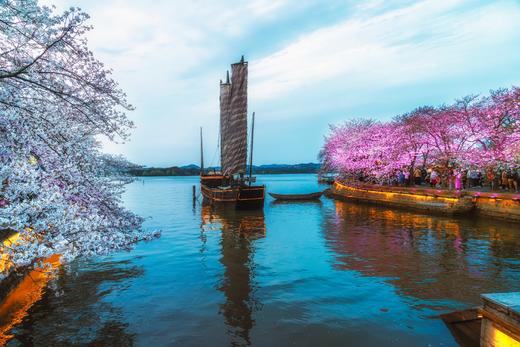 【约惠专线】3.24/3.26确定出发【烟花三月下江南】华东赏樱6天摄影<超特惠团> 商品图0