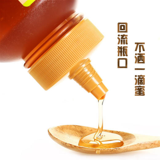 【D】中粮山萃荆条成熟蜜500g蜂蜜 商品图1