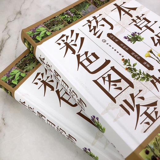 本草纲目药物彩色图鉴 商品图2