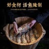 Best100 名厨名店 ｜ 来自徽菜名店梦都会的臭鳜鱼 奇香袭人 家庭制作方便 商品缩略图2