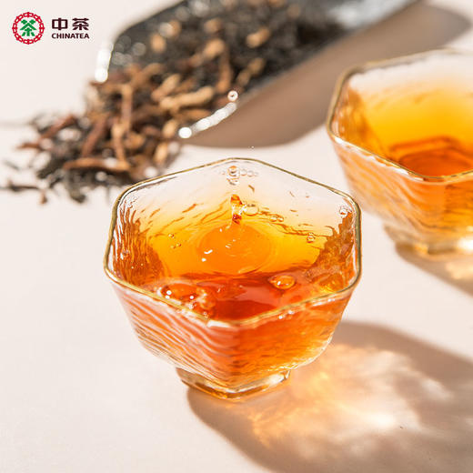 【D】中茶HT8102安化黑茶陈皮金茯80g 5年陈皮  便携装复配茶 商品图2