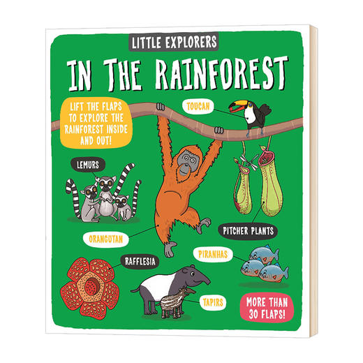 小小探险家 在雨林 纸板翻翻书 英文原版 Little Explorers In the Rainforest 英文版儿童英语科普绘本 精装 进口原版书籍 商品图0