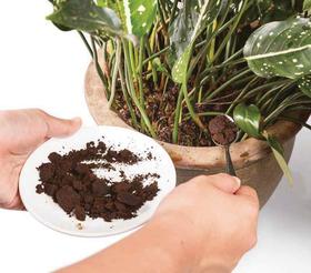 日签 | 挂耳重复利用的正确姿势二