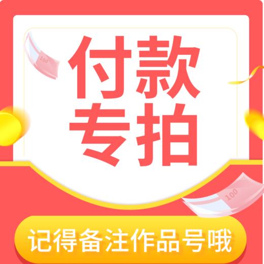 【付款专拍】作品号可不填 商品图0