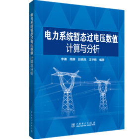 电力系统暂态过电压数值计算与分析