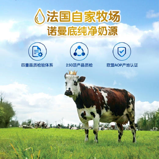 合生元派星奶粉4段800g 商品图6