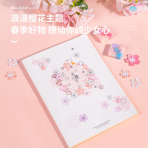 得力缝线本FB540(光樱下2) 商品图2