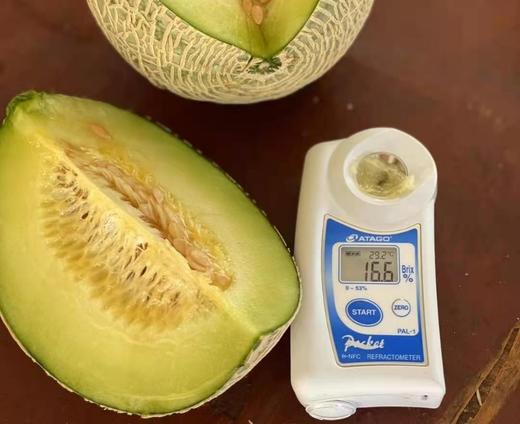 日本品种 牛三蜜瓜 玫珑瓜2-4只原箱装网纹甜瓜蜜瓜日本静冈哈密瓜 商品图6