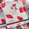 【有仙气的草莓】孕妇儿童放心吃，本地红颜草莓，无膨大剂，无催熟，自然成熟，当季时鲜！！ 商品缩略图6