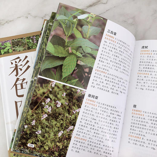 本草纲目药物彩色图鉴 商品图8