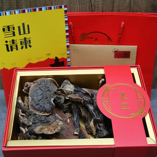特级野生灵芝 商品图6