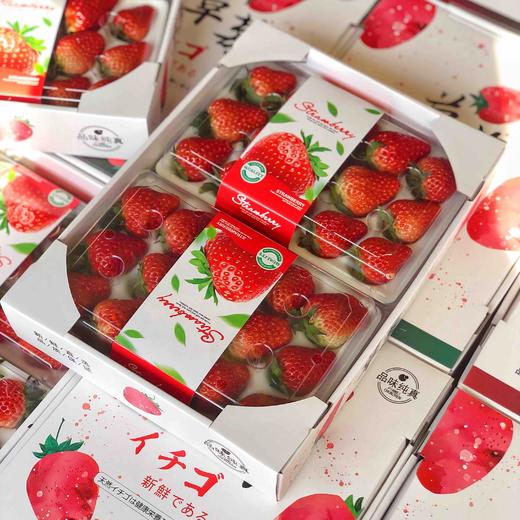 【有仙气的草莓】孕妇儿童放心吃，本地红颜草莓，无膨大剂，无催熟，自然成熟，当季时鲜！！ 商品图5