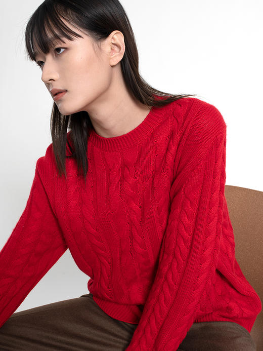 女士2022新款纯山羊绒三股加厚绞花圆领套头衫 商品图3