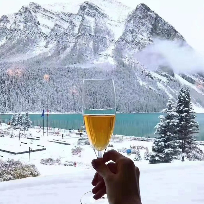 加拿大白冰酒 瀑布区高奢小众酒庄 VQA认证 加拿大原瓶进口 多款 |百里食