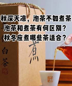 弘通禅茶丨秋冬应煮什么茶，怎么煮茶更好喝