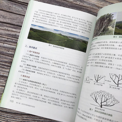 现代高效农业种养技术 商品图10