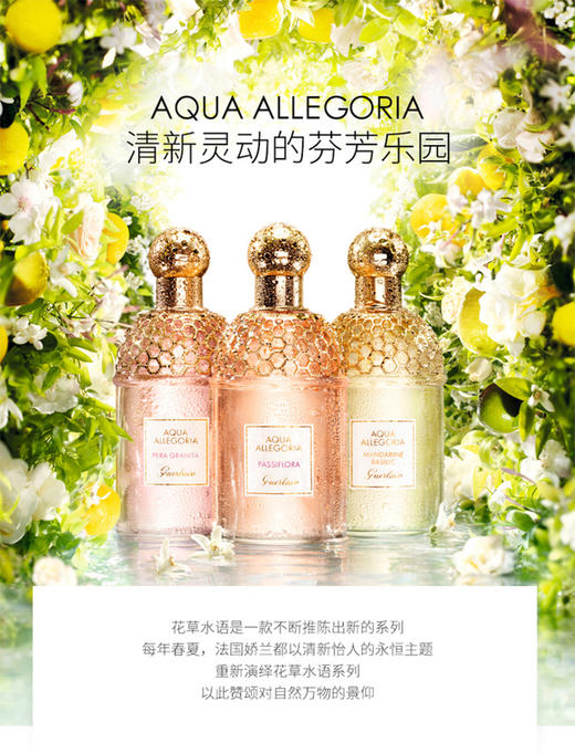 【中欧班列精选】法国娇兰GUERLAIN花草水语系列女士香水EDT 75ML BF 商品图1