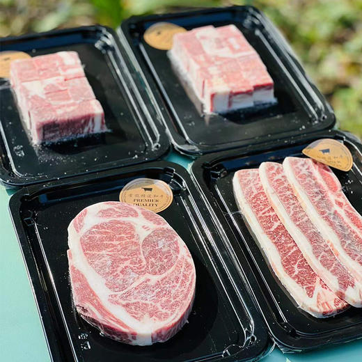 澳洲谷饲和牛牛排  |  国产雪龙谷饲和牛，是国内高品质肉牛的领导者！专门引进饲养日本牛种和澳洲牛杂交，高级和牛口感可以媲美日本和牛，每一块都是鲜嫩多汁，奶香四溢，触口即溶！ 商品图2