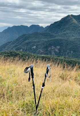 【课堂】登山杖科普及如何正确选择？含高性价比款！