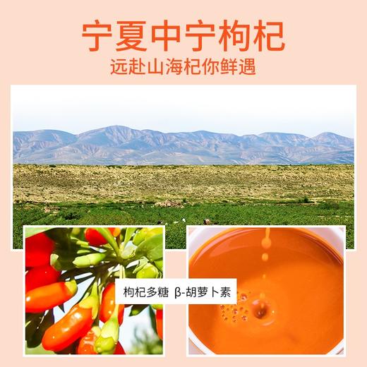 三颗果树鲜枸杞原浆30ml*30 商品图2