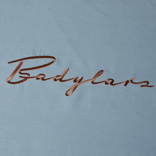 尚雅简欧风纯棉四件套 商品图3