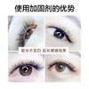 睫毛加固剂   加固液  10ml     胶水加速剂10ml 商品缩略图3