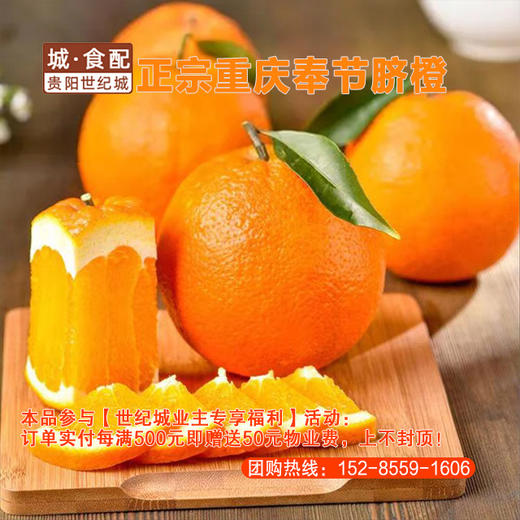 奉节脐橙10斤装（精选优质中大果）【GY】 商品图0