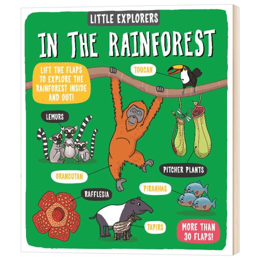 小小探险家 在雨林 纸板翻翻书 英文原版 Little Explorers In the Rainforest 英文版儿童英语科普绘本 精装 进口原版书籍 商品图1