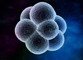 为什么说辅酶Q10是高龄备孕一次成功的必备因素？