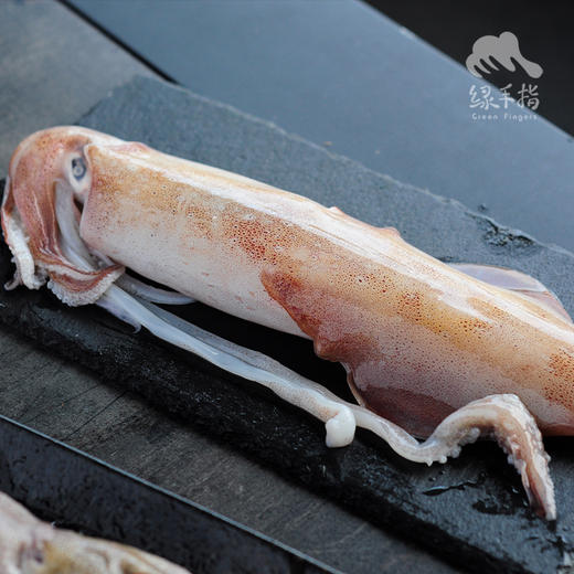 野生手钓鱿鱼 | 合作生产 * Wild Dongshan Island seafood | Coproduction 商品图0
