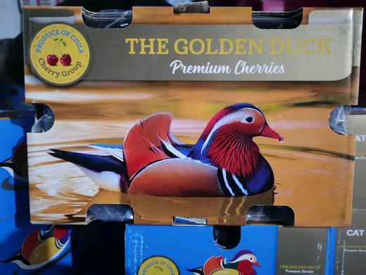 金鸭智利双J车厘子一箱 商品图0