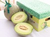 日本品种 牛三蜜瓜 玫珑瓜2-4只原箱装网纹甜瓜蜜瓜日本静冈哈密瓜 商品缩略图2