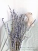 干花 ｜ 薰衣草 商品缩略图2