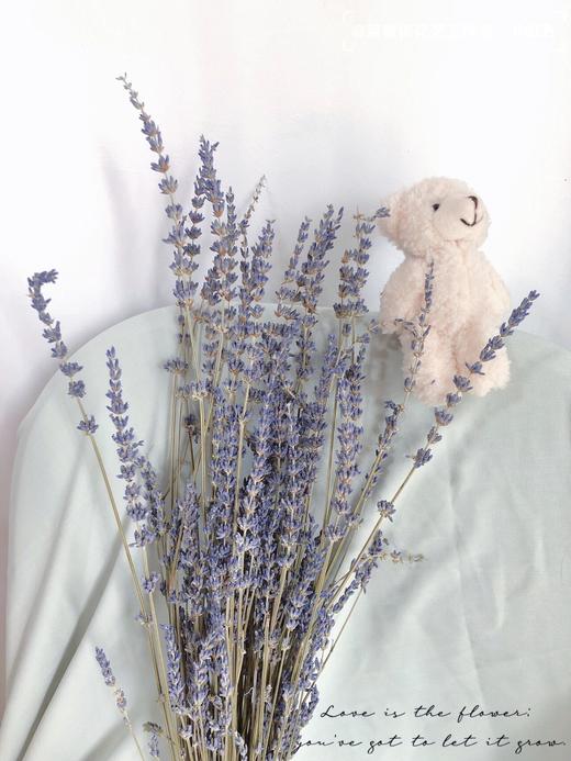 干花 ｜ 薰衣草 商品图2