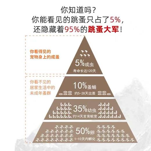 美国硕腾妙宠爱猫咪驱虫药-内外同驱 滴剂 一盒/3支 商品图1