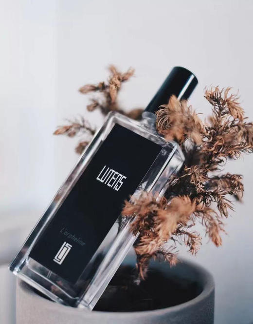 SL 孤女 L'orpheline「你绝非善类，我也不做好人」 商品图0