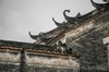 01月15日 江门·良溪古村·“胡杨林”映红落雨杉一天摄影 商品缩略图2