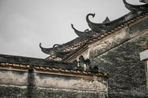 01月15日 江门·良溪古村·“胡杨林”映红落雨杉一天摄影 商品图2