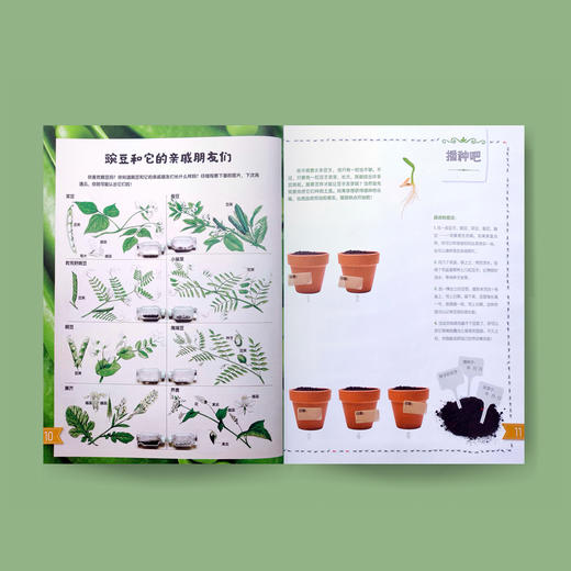 《我的自然游戏书》 商品图4