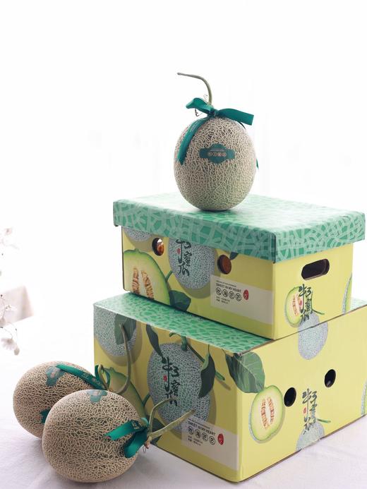 日本品种 牛三蜜瓜 玫珑瓜2-4只原箱装网纹甜瓜蜜瓜日本静冈哈密瓜 商品图1