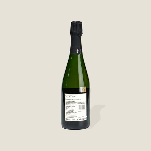 玳慕甄选香槟 750ml 商品图1