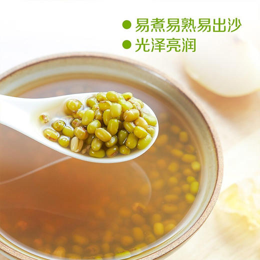 【D】中粮初萃洮南绿豆1kg 粗粮 东北特产 五谷杂粮 商品图2