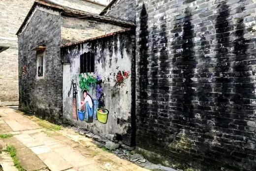 01月15日 江门·良溪古村·“胡杨林”映红落雨杉一天摄影 商品图4