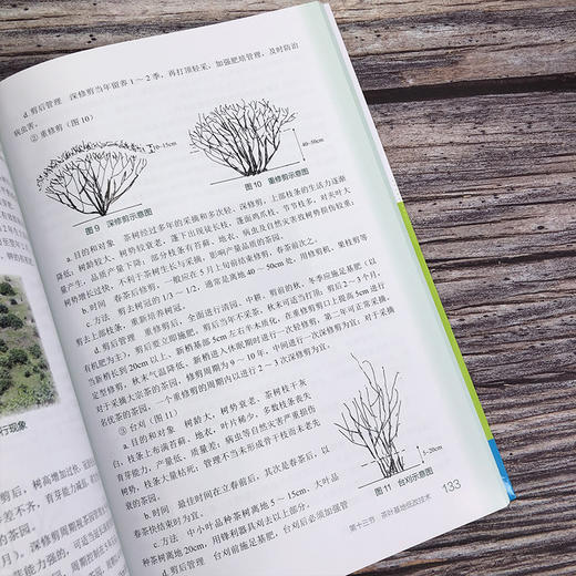 现代高效农业种养技术 商品图5