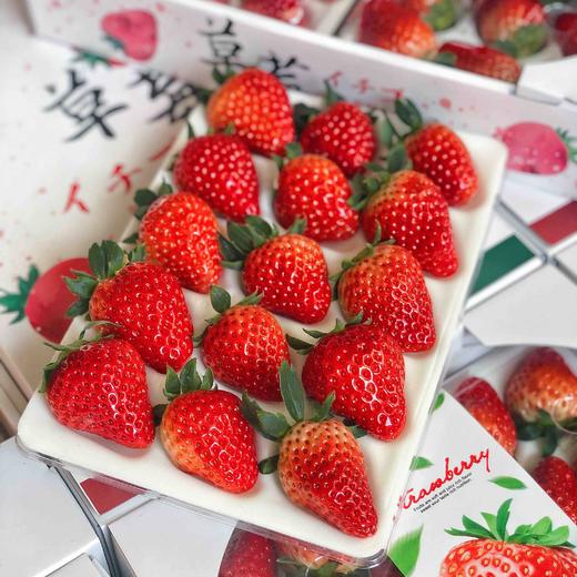 【有仙气的草莓】孕妇儿童放心吃，本地红颜草莓，无膨大剂，无催熟，自然成熟，当季时鲜！！ 商品图7