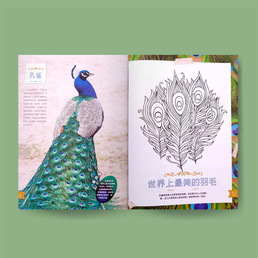 《我的自然游戏书》 商品图3